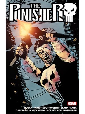 cover image of The Punisher By Greg Rucka, Volume 2